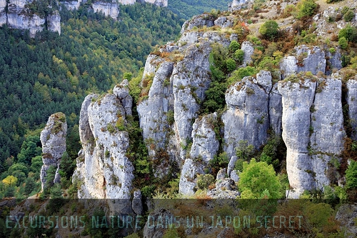 Le Japon comme vous en rêvez 